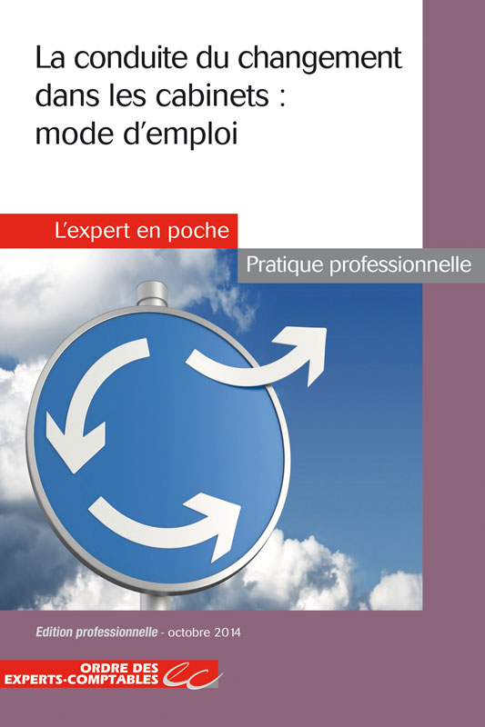 Offre d emploi consultant en conduite de changement