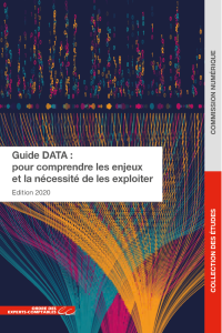 Guide de la Data : Pour comprendre les enjeux et la nécessité de les exploiter