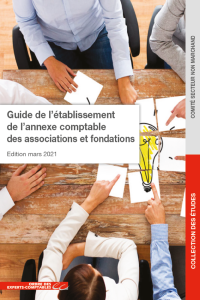Le guide de l’établissement de l’annexe comptable des associations et fondations 