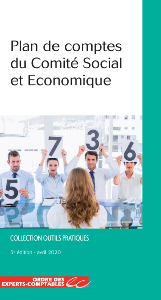 Plan de comptes des Comités Sociaux et Economiques