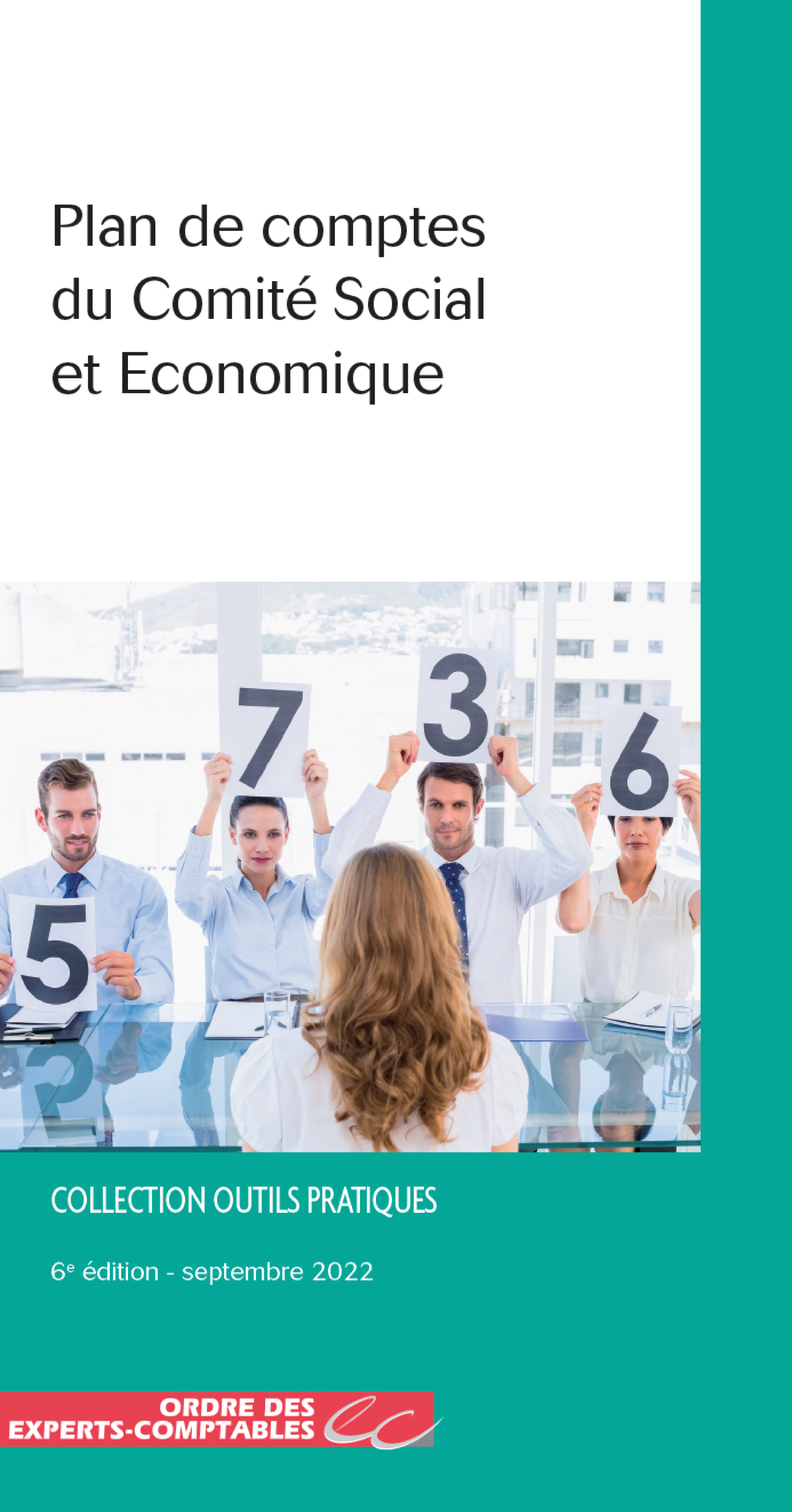 Plan de comptes des Comités Sociaux et Economiques