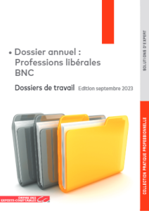 Dossiers de travail - Dossier annuel : Professions libérales BNC