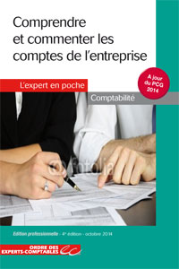 Comprendre et commenter les comptes de l'entreprise